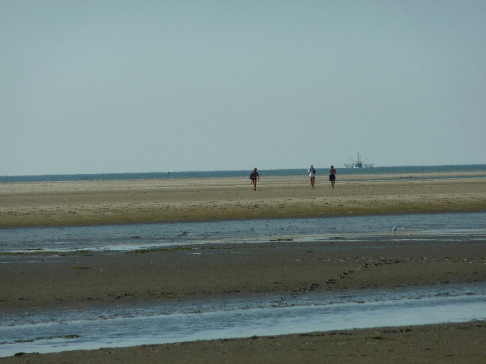 Wattwanderer auf dem Rckweg / hiker at their return from the mudflats