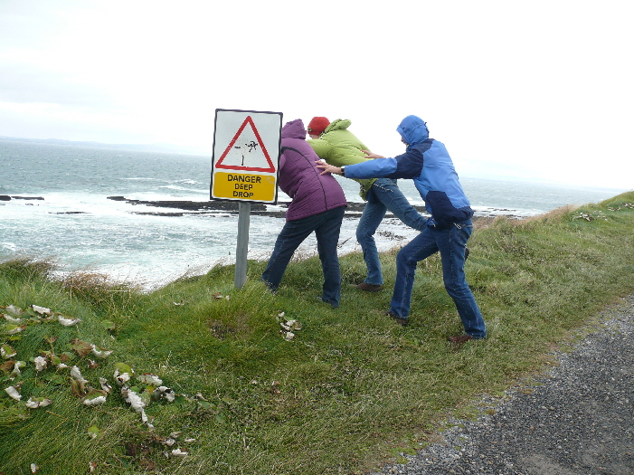 bald wren sie gefallen / may be their where dropped/ on the coast road of Mullagmore,Ireland