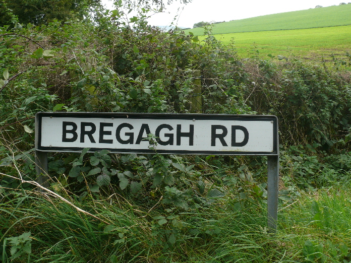 Die Strae zu den DARK HEDGES / the road leading to the DARK HEDGES